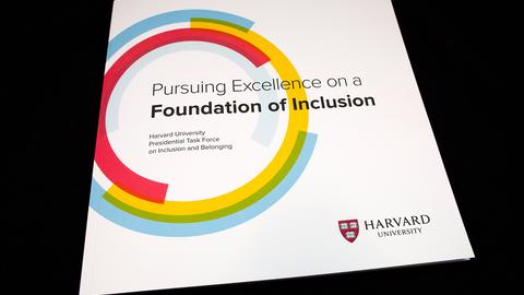 Inclusion and Belonging Report Front Cover